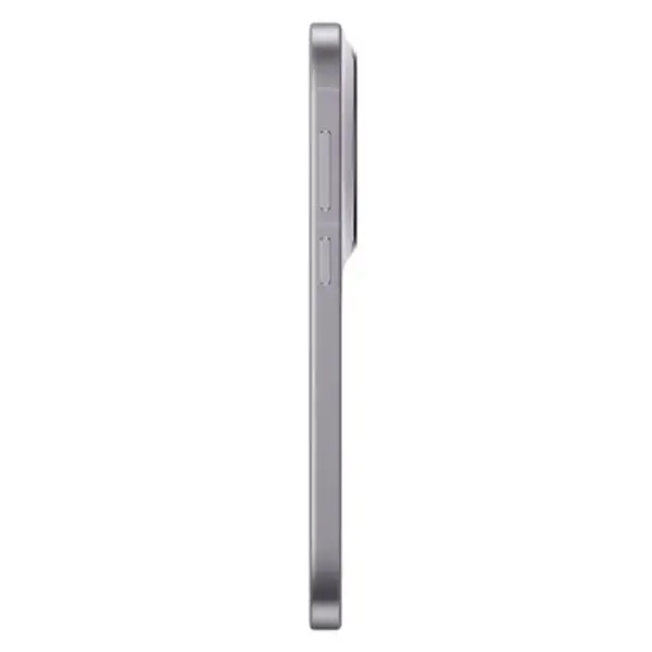 Vivo X300