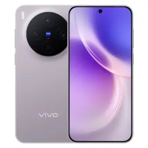 Vivo X300
